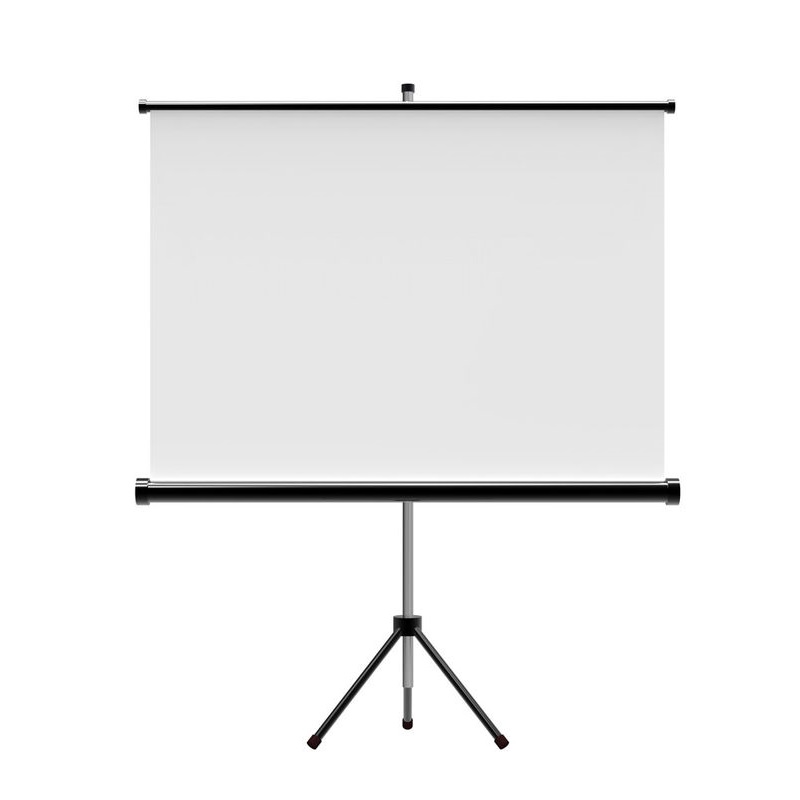 Màn chiếu Chân Dalite P70TS 100 Inch